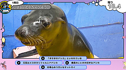 画像ギャラリー No.008のサムネイル画像 / 「いつでも伊勢シーパラダイス 距離感ゼロの水族館図鑑」,本日発売。生き物たちや水族館について学べるゲーム