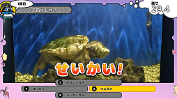 いつでも伊勢シーパラダイス 距離感ゼロの水族館図鑑