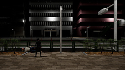 ���ǰ�ƻ-The Crosswalk Anomaly