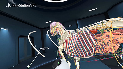 画像ギャラリー No.001のサムネイル画像 / VR解剖学アプリ「Animal Anatomy」,PS VR2とMeta Quest向けにリリース。精細に再現されたモデルで,動物の体をより深く知る