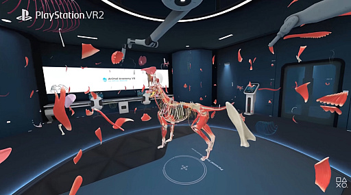 画像ギャラリー No.003のサムネイル画像 / VR解剖学アプリ「Animal Anatomy」,PS VR2とMeta Quest向けにリリース。精細に再現されたモデルで,動物の体をより深く知る