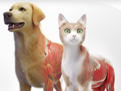 VR˶إץAnimal AnatomyסPS VR2Meta Quest˥꡼٤˺Ƹ줿ǥǡưʪΤ꿼Τ