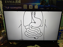 ꡼ No.018Υͥ / ̯ʤΤˡʤ뤤ȥꥢΤäѤ֥֥ƥ󥰥סWePlay2025