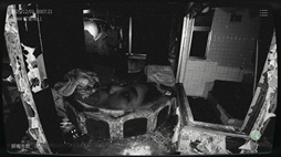 日本事故物件監視協会2 -Japan Stigmatized Property-