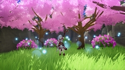 ꡼ No.005 | ζι 롼եȥ꡼