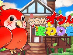 Źɥ֤ΥѤԡסSteamǥ꡼िäơ줾Τˤ