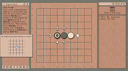 ꡼ No.001 | The Conquest of Go