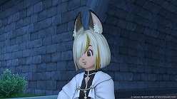 画像ギャラリー No.018のサムネイル画像 / 「ドラクエX オンライン」，最新追加パッケージ「時空の迷い子たち」を2026年6月25日に発売。新たなオールオンワンパッケージもリリース予定