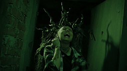 Heart of the Forest