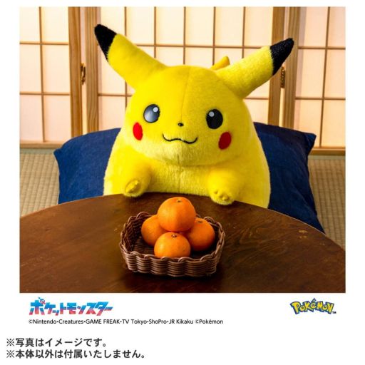 画像ギャラリー No.004のサムネイル画像 / ピカチュウの等身大ぬいぐるみ「おかえり！ピカチュウ1/1」，次回抽選販売の受付を5月1日に開始。過去に当選した人は応募不可