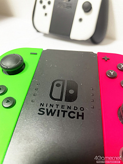 ꡼ No.046Υͥ / ȯNintendo SwitchͭELǥˡפ ΤλͤϽǥȲ㤦Τ̿ưӤƤߤ