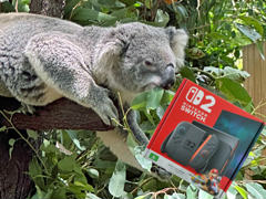 オーストラリア滞在者だけど「Nintendo Switch 2」を現地で買ってみた。日本との違いはどんな感じ? あとコアラもいるよ🐨🐨!