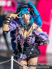 ꡼ No.186 | TGS 2025 ѥ˥ץ쥤䡼̿ZIPեʤˤϤ6ǯ֤420硤ѤԤޤġġ