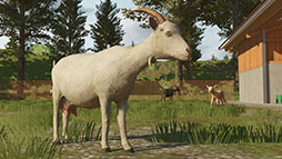画像ギャラリー No.007のサムネイル画像 / Switch用ソフト「Farming Simulator 26」DL版を5月19日に発売。欧州と北米を舞台とする2つの新マップで農作業や家畜の世話などに挑める