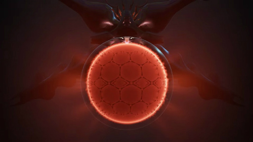 ꡼ No.009Υͥ / LIMBOINSIDEȯοCOCOONפȯɽˡ֥Ȥ򱿤ƻڤ곫ѥå