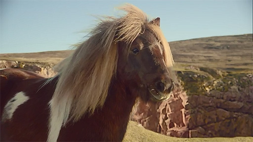 Three - The Pony #DancePonyDance