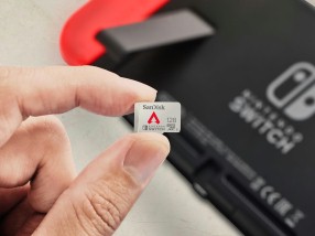 ꡼ No.001Υͥ / Apex LegendsץǥSwitchmicro SDXCɤо