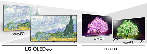 ꡼ No.002Υͥ / LG4KͭELƥӡ4KվƥӤ2021ǯƥǥȯɽͭELFreeSyncG-SYNC Compatibleбǥ¿饤ʥå