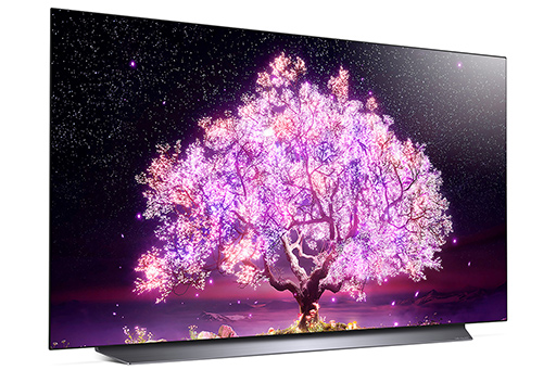 ꡼ No.005Υͥ / LG4KͭELƥӡ4KվƥӤ2021ǯƥǥȯɽͭELFreeSyncG-SYNC Compatibleбǥ¿饤ʥå
