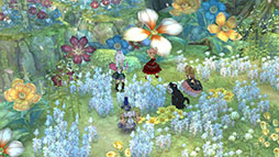 ꡼ No.003Υͥ / Tree of Savior MפλϿڹǥȡPV䥹꡼󥷥åȤ碌ƤϤ