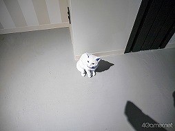 画像ギャラリー No.006のサムネイル画像 / ナンジャタウン園内に新街区がオープン! “スキ”をギュッと詰め込んだ「Hugood!街区」メディア内覧会をフォトレポート