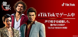꡼ No.001Υͥ / ζǡץ꡼TikTokܡȶϡɤʤɥ꡼饯з褹륲२եȤо