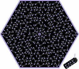 ꡼ No.098Υͥ / ֤Ρץ󥹤ޤâ10ǯǰ٥ȡUTAPRI EXPO-10th Anniversary-ɤξʾ󤬸
