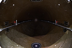 ꡼ No.135Υͥ / ֥˥˥Ķ2023ץեȥݡȡơ٥ȤФءüԤ˥˥˥д餬⤫ͻҤϤ
