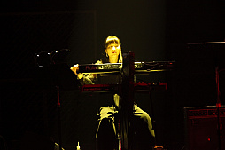 ꡼ No.011Υͥ / ֿž 30ǯպ in KT Zepp YokohamaDay 1饤֥ݡȡIIIڶʤ濴ˡǮХɥɤǥ꡼̾ʤϪ