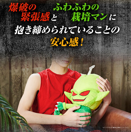 ꡼ No.006Υͥ / ֥ɥ饴ܡZ׺ݥޥΥݥåȥƥå奱ͽ󳫻ϡΤҤ̥եʡǡӤʤɤˤäĤ