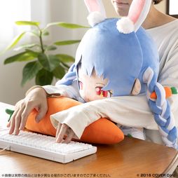 ꡼ No.005Υͥ / ۥ饤֡Ĥڤ餬PCåˤʤäо졣55cmΥա餬̣襤ʤǡǥΤˤ