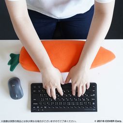 ꡼ No.007Υͥ / ۥ饤֡Ĥڤ餬PCåˤʤäо졣55cmΥա餬̣襤ʤǡǥΤˤ