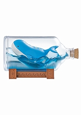 ꡼ No.004Υͥ / ֥ݥåȥ󥹥 AQUA BOTTLE collection 䤯դΤᤰꤢפκΤꡣ6ȯͽͽ